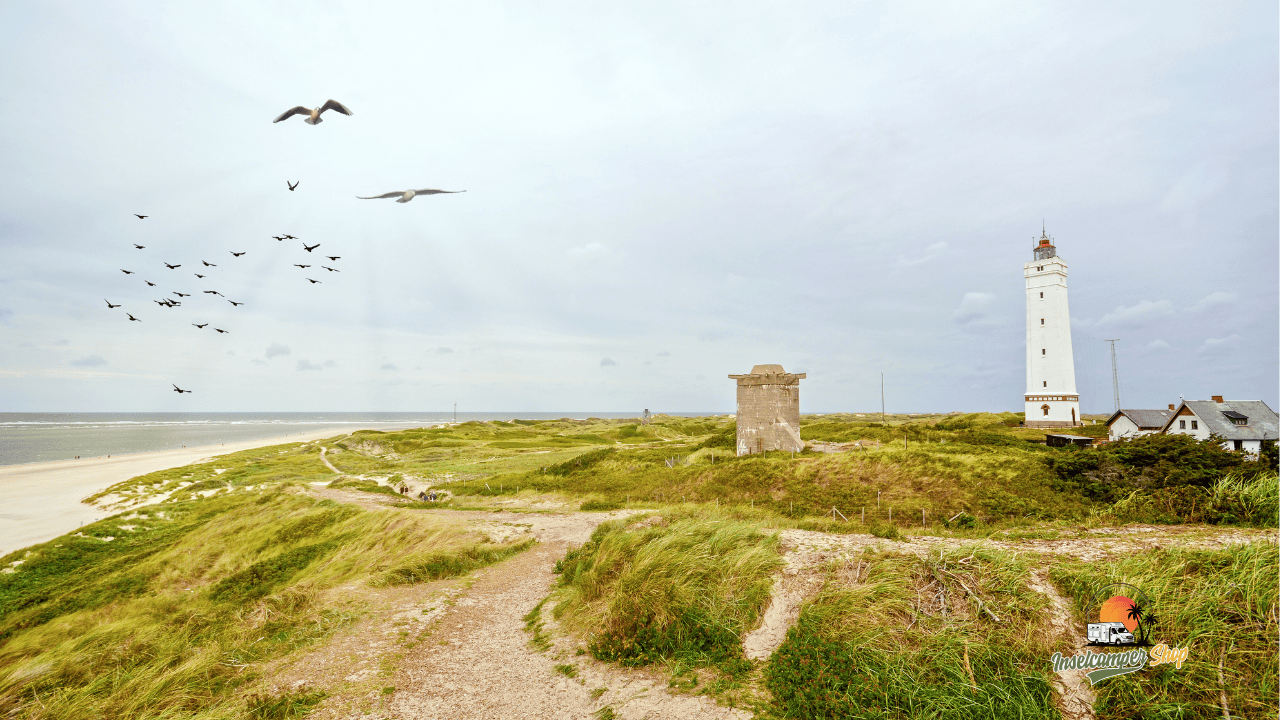 Camping Dnemark  Der groe Guide