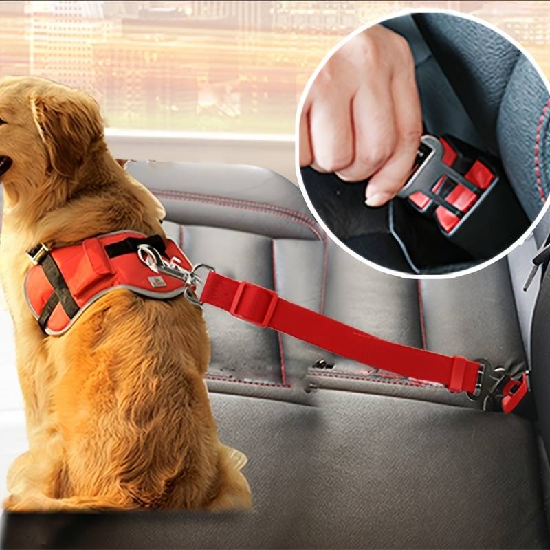 Verstellbarer Sicherheitsgurt für Haustiere im Wohnmobil oder Auto