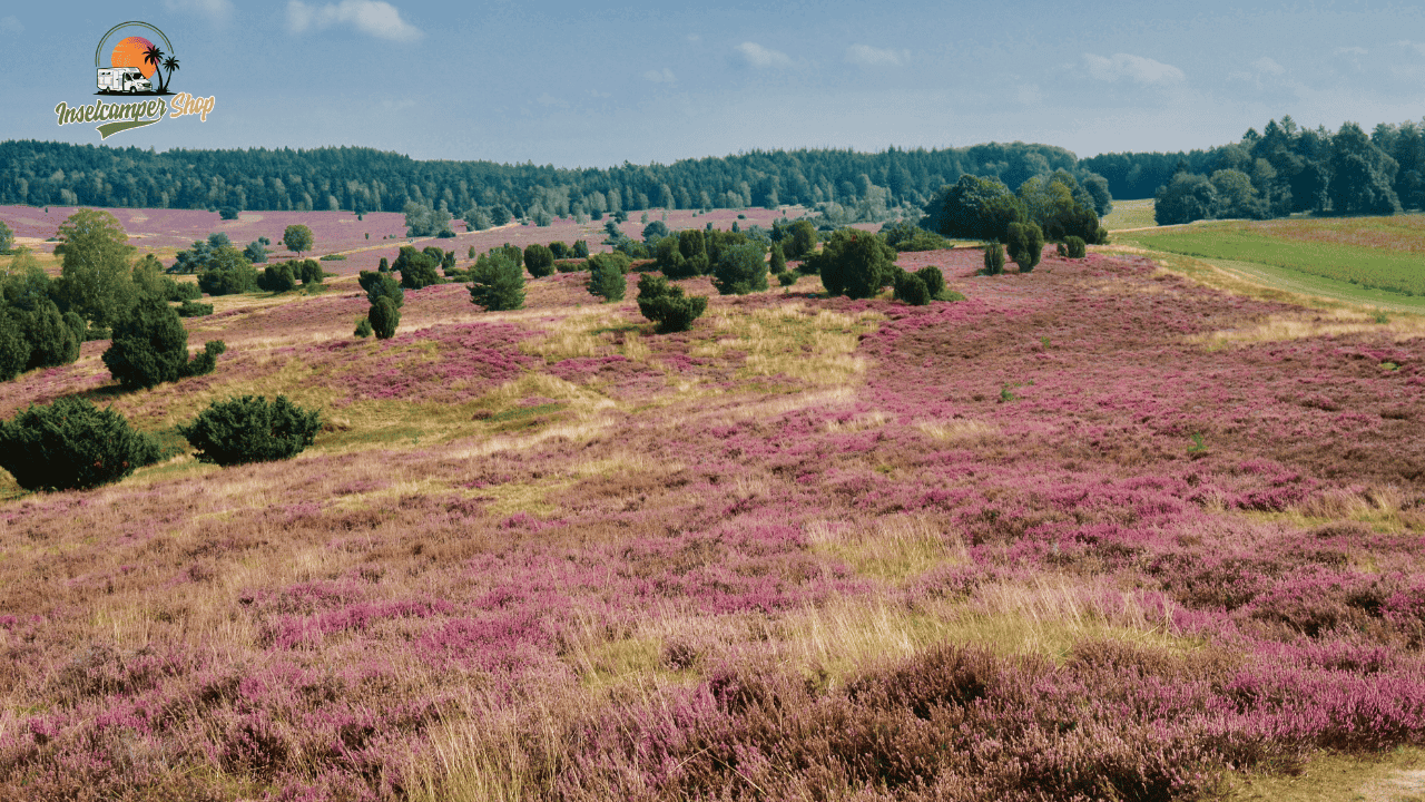 Camping Lüneburger Heide – Der große Guide