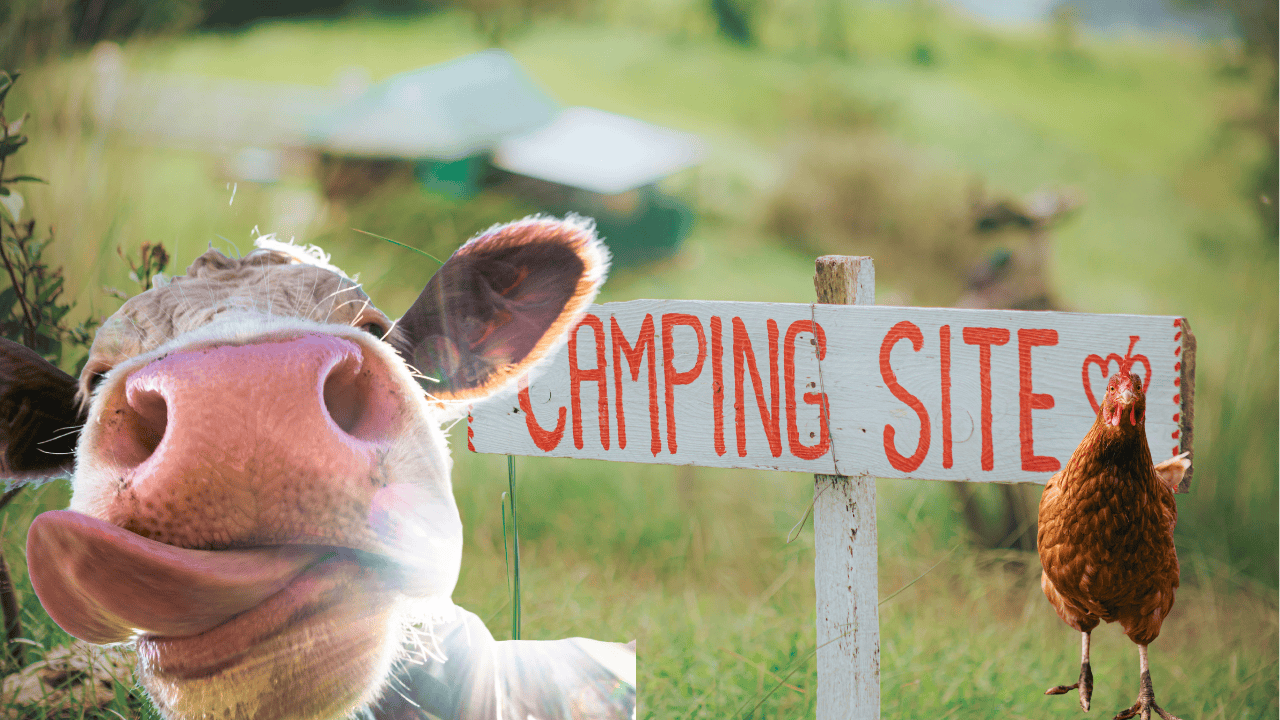 Camping am Bauernhof