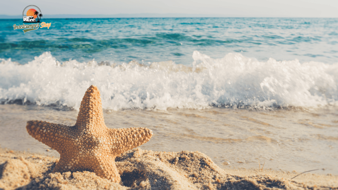 Camping am Meer in Deutschland – Der große Guide