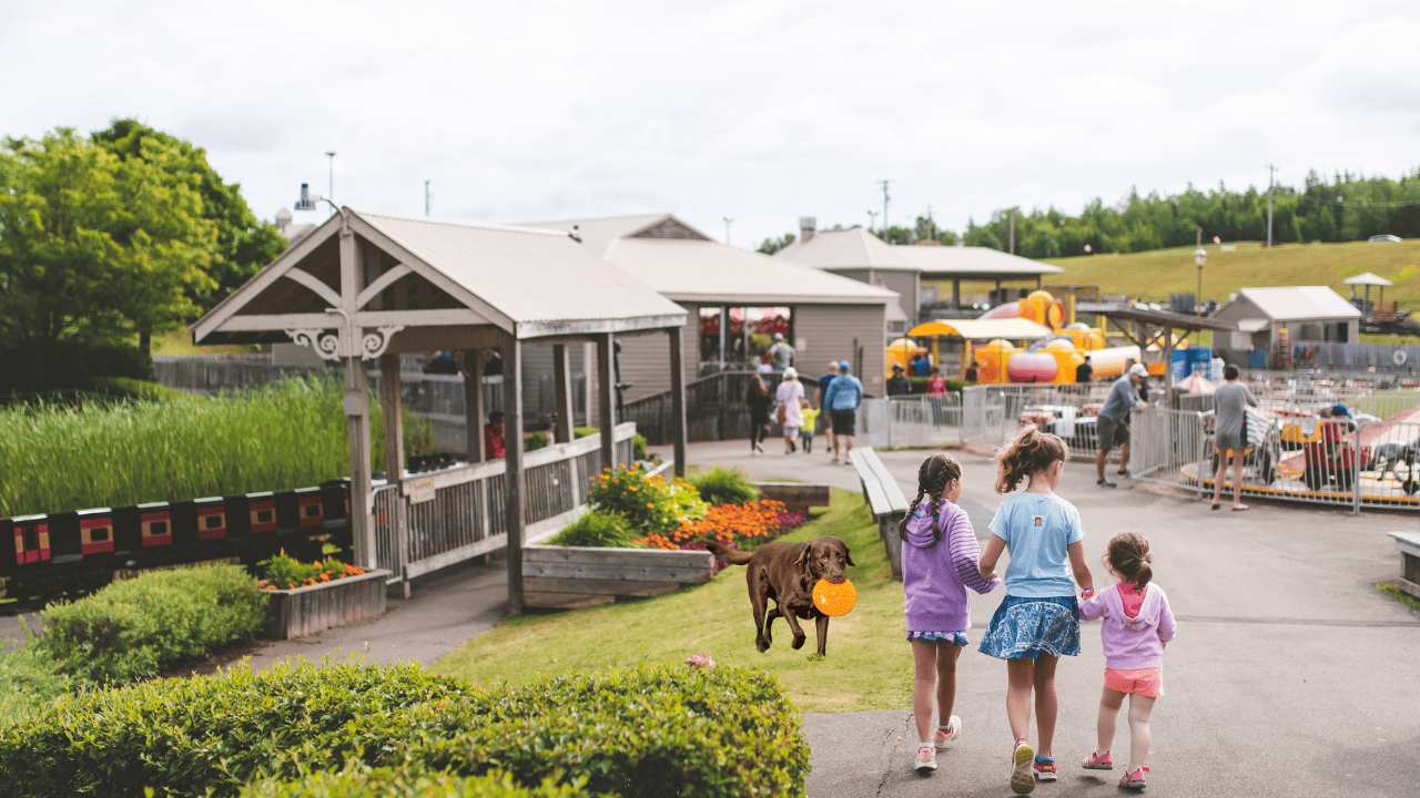 Top 10 Freizeitparks mit Hund in Deutschland