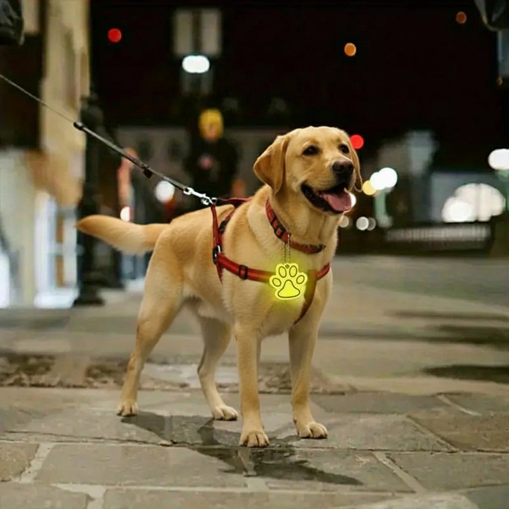 3er Set Anhänger, reflektierender Pfote Anhänger